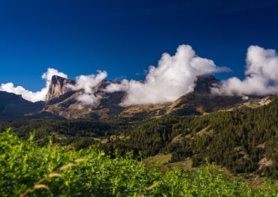 Inspiration nature - Printemps dans Le Dévoluy ©yenbui.fr