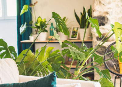 Inspiration déco urban jungle ©yenbui.fr