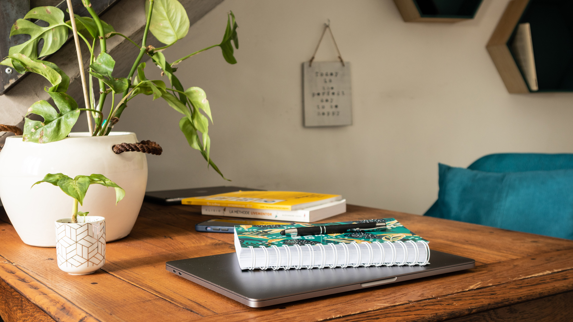 Partir en vacances avec son chien et lui offrir un accueil de qualité, c'est possible grâce à la plateforme emmenetonchien.com créée par Sophie Morche