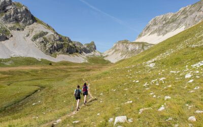 12 idées de publications pour booster vos réseaux sociaux