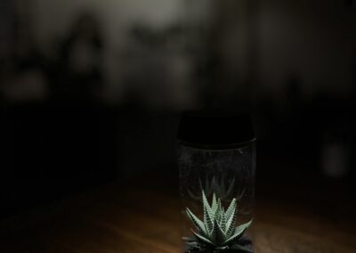 Photo réalisée en sous-exposiition ©yenbui.fr