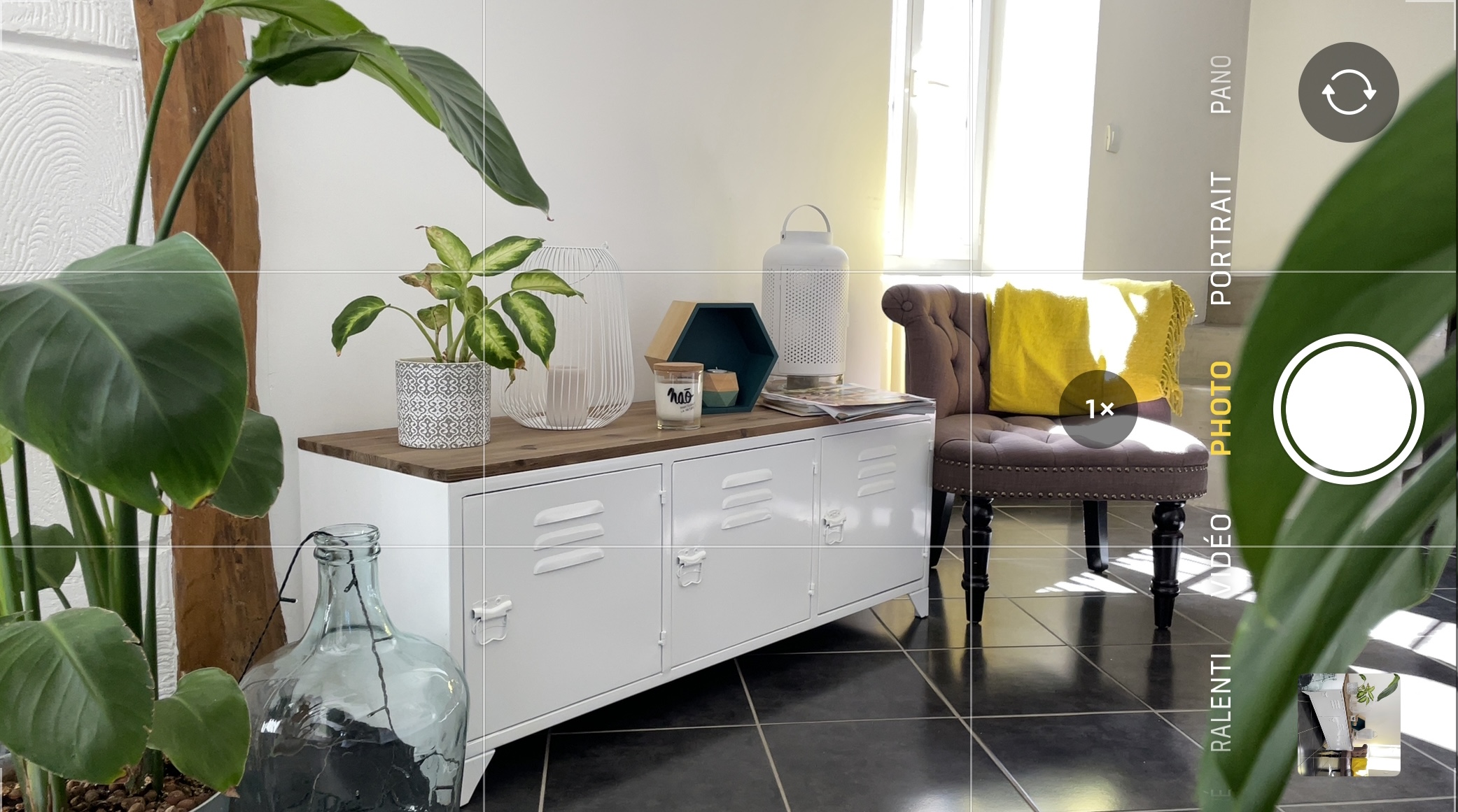 Partir en vacances avec son chien et lui offrir un accueil de qualité, c'est possible grâce à la plateforme emmenetonchien.com créée par Sophie Morche