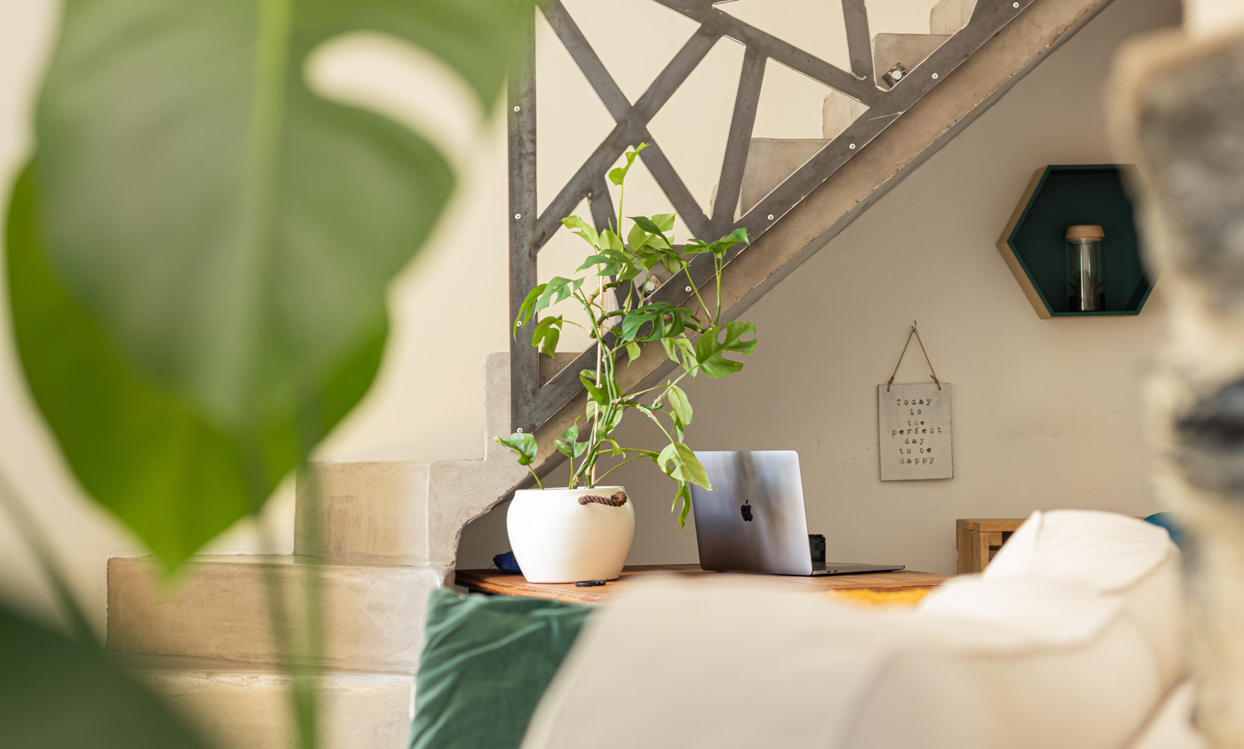 Emmenetonchien.com la plateforme affinitaire du tourisme dog-friendly ©Sophie Morche Partir en vacances avec son chien et lui offrir un accueil de qualité, c'est possible grâce à la plateforme emmenetonchien.com créée par Sophie Morche