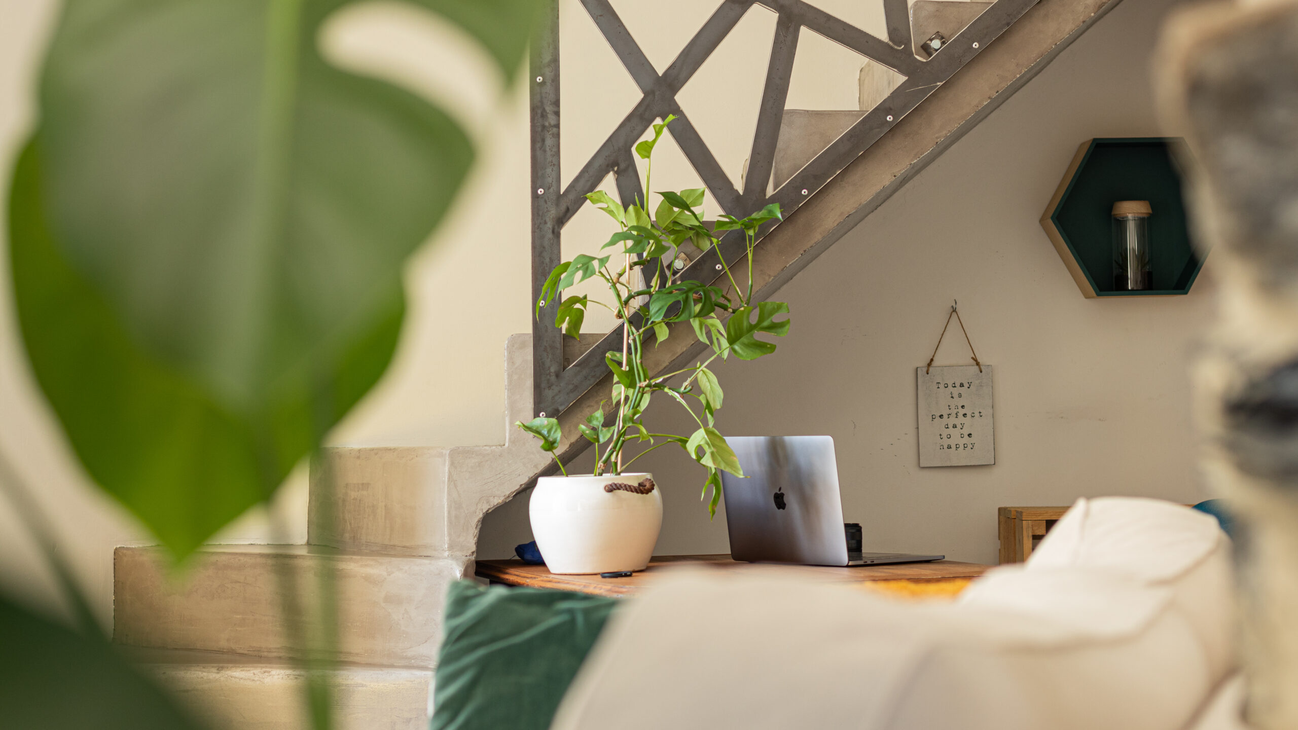 Partir en vacances avec son chien et lui offrir un accueil de qualité, c'est possible grâce à la plateforme emmenetonchien.com créée par Sophie Morche