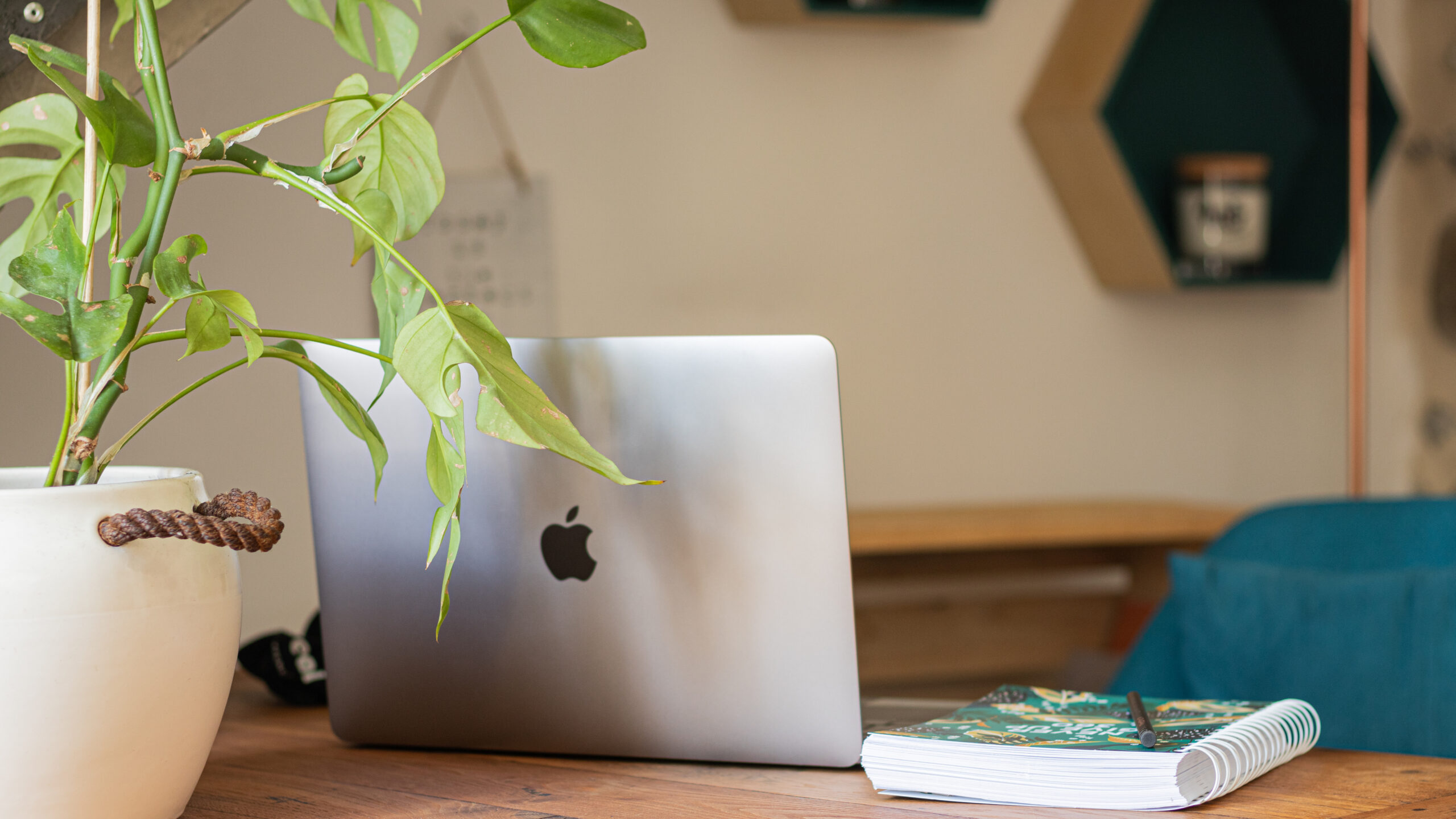 Emmenetonchien.com la plateforme affinitaire du tourisme dog-friendly ©Sophie Morche Partir en vacances avec son chien et lui offrir un accueil de qualité, c'est possible grâce à la plateforme emmenetonchien.com créée par Sophie Morche