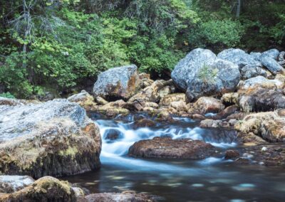 Balade en pleine nature dans Le Dévoluy