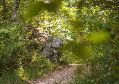 Balade en pleine nature dans Le Dévoluy