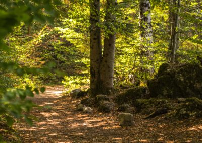 Balade en pleine nature dans Le Dévoluy