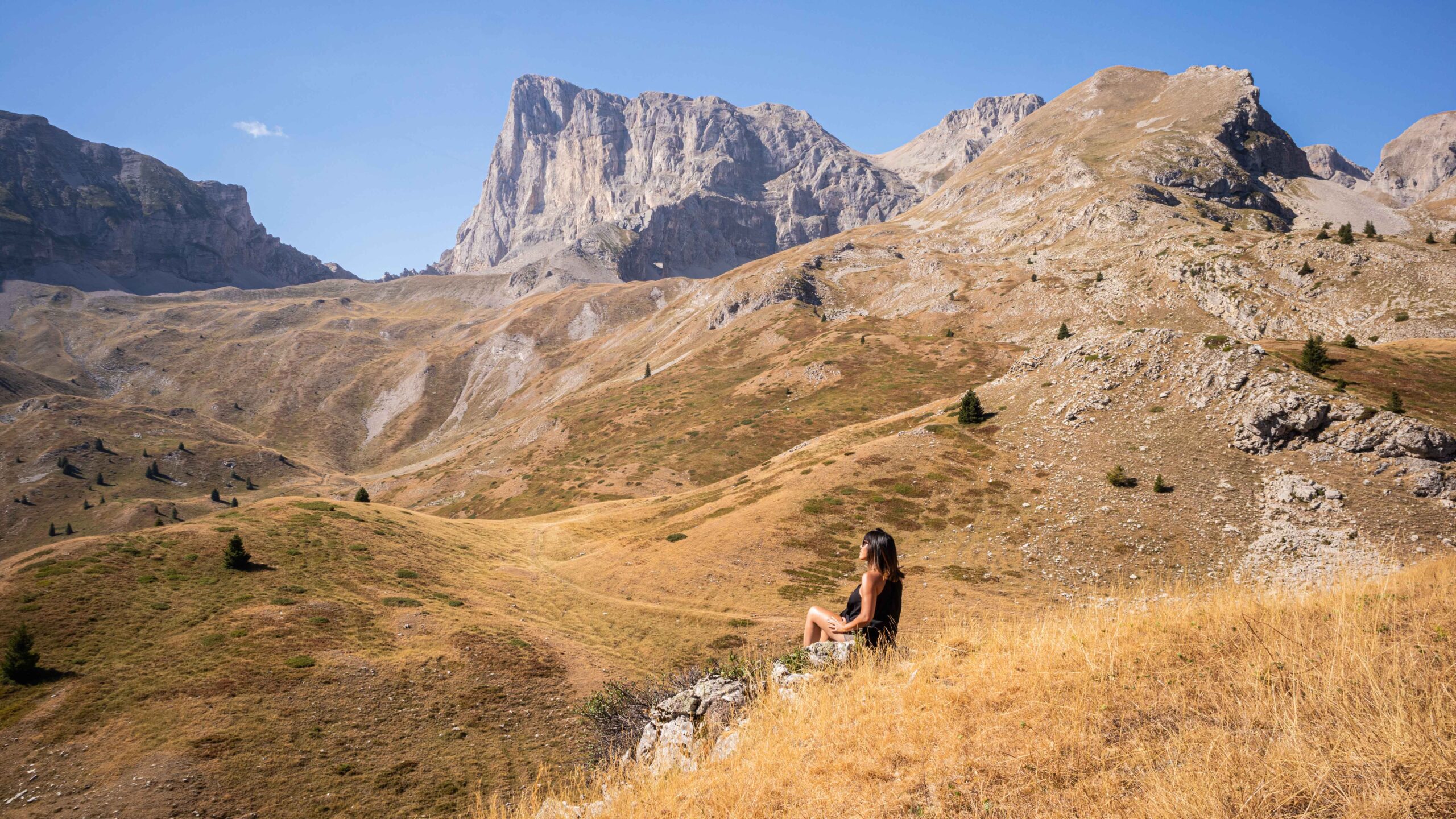 Partir en vacances avec son chien et lui offrir un accueil de qualité, c'est possible grâce à la plateforme emmenetonchien.com créée par Sophie Morche