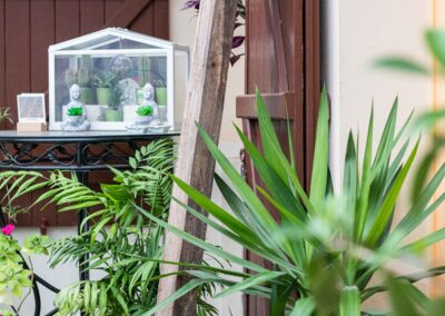 Créer un jardin d’hiver zen