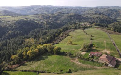 Trouver sa différenciation avant de se lancer : l’expérience du Domaine du Coq en Pat