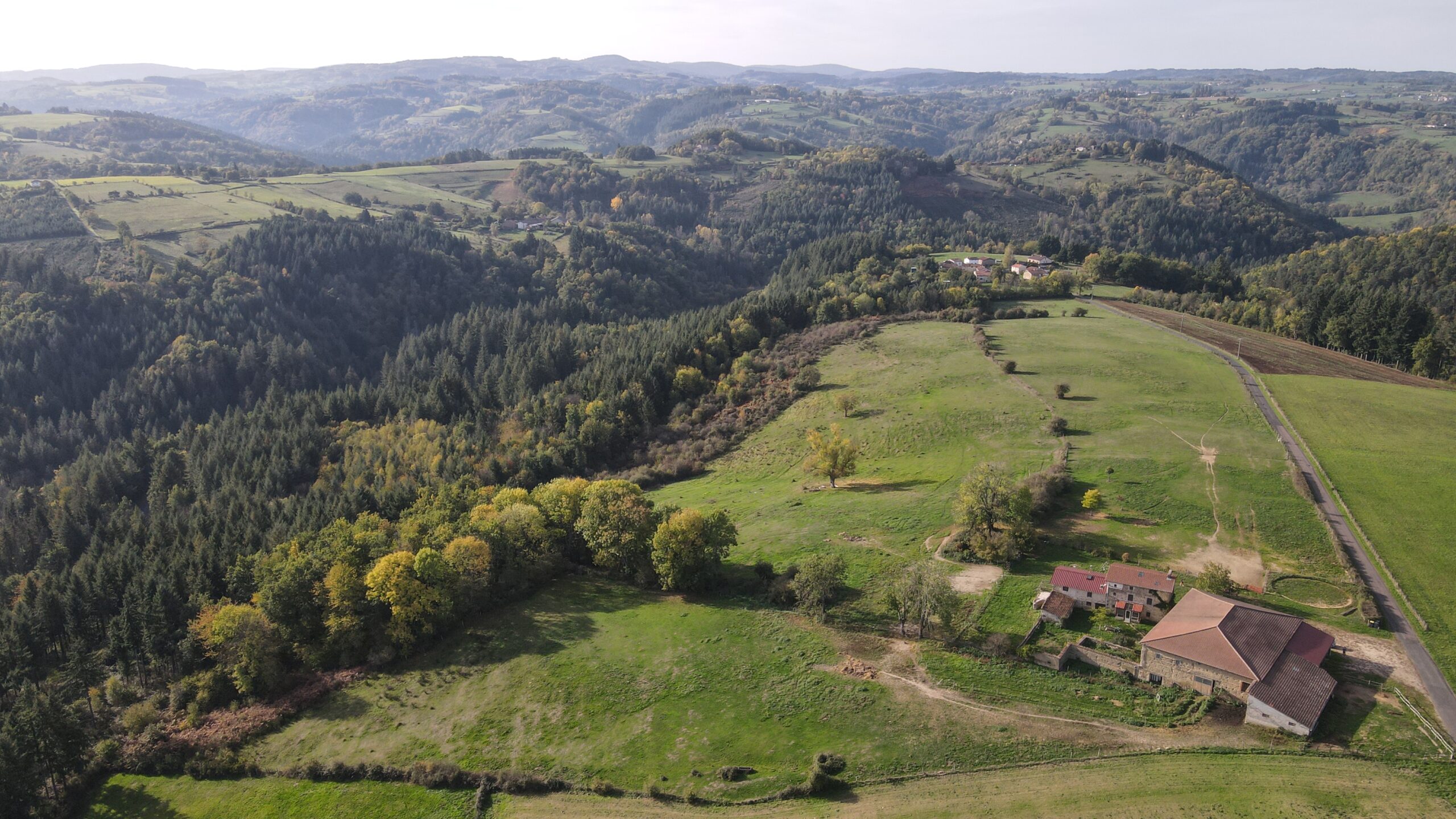 Partir en vacances avec son chien et lui offrir un accueil de qualité, c'est possible grâce à la plateforme emmenetonchien.com créée par Sophie Morche