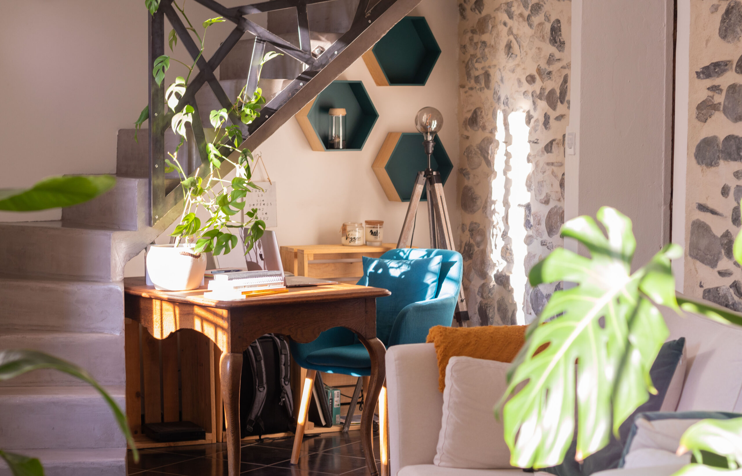 Emmenetonchien.com la plateforme affinitaire du tourisme dog-friendly ©Sophie Morche Partir en vacances avec son chien et lui offrir un accueil de qualité, c'est possible grâce à la plateforme emmenetonchien.com créée par Sophie Morche