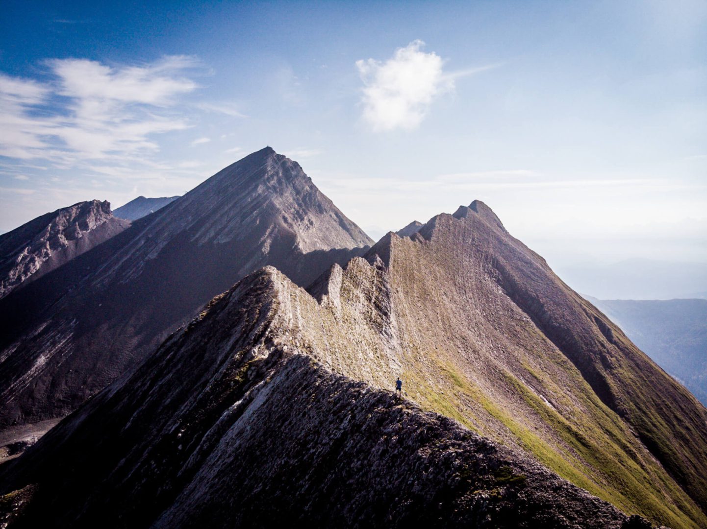 Partir en vacances avec son chien et lui offrir un accueil de qualité, c'est possible grâce à la plateforme emmenetonchien.com créée par Sophie Morche