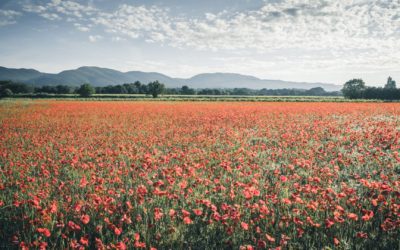 Attirer une clientèle locale pour développer le tourisme à l’année