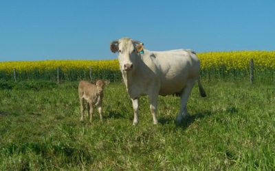 Développer l’agritourisme avec la création d’un gîte