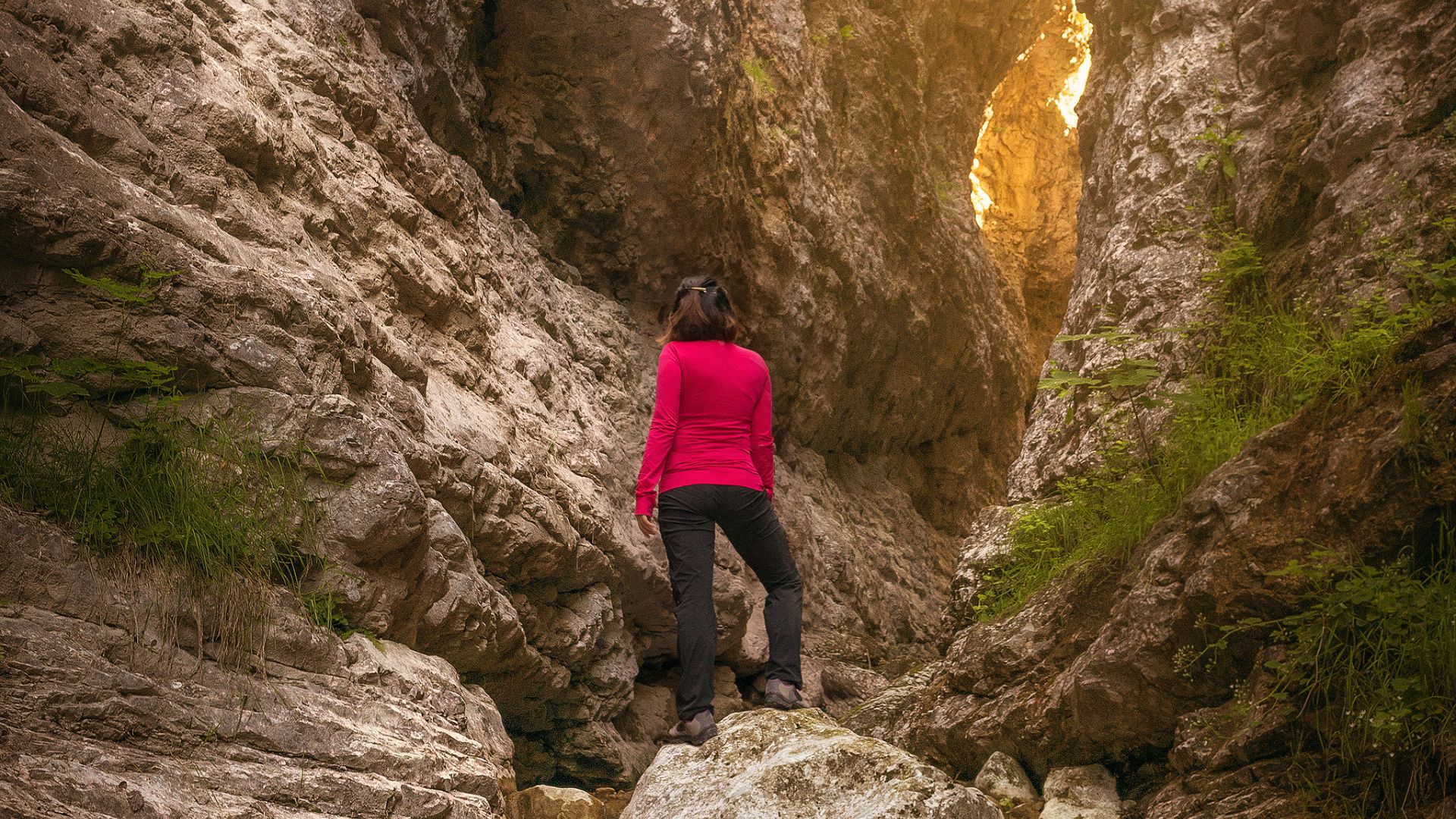 Partir en vacances avec son chien et lui offrir un accueil de qualité, c'est possible grâce à la plateforme emmenetonchien.com créée par Sophie Morche