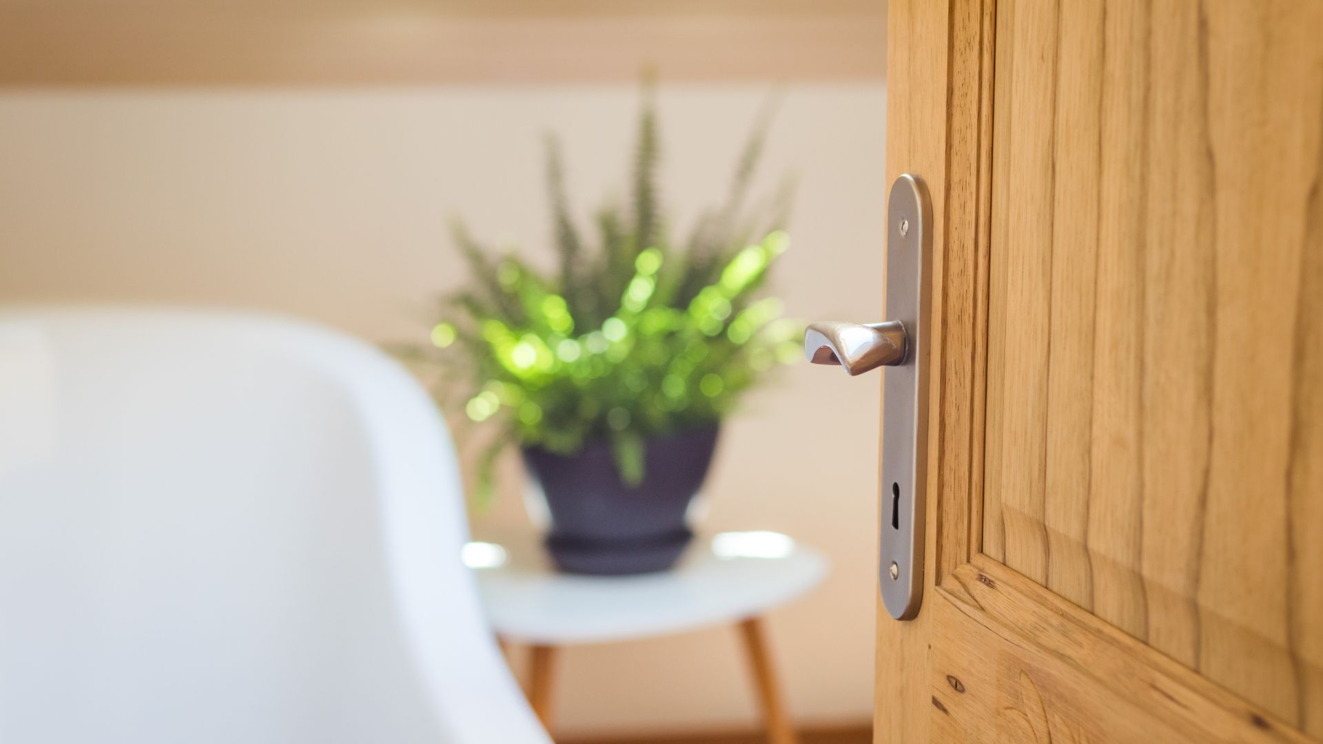 Partir en vacances avec son chien et lui offrir un accueil de qualité, c'est possible grâce à la plateforme emmenetonchien.com créée par Sophie Morche