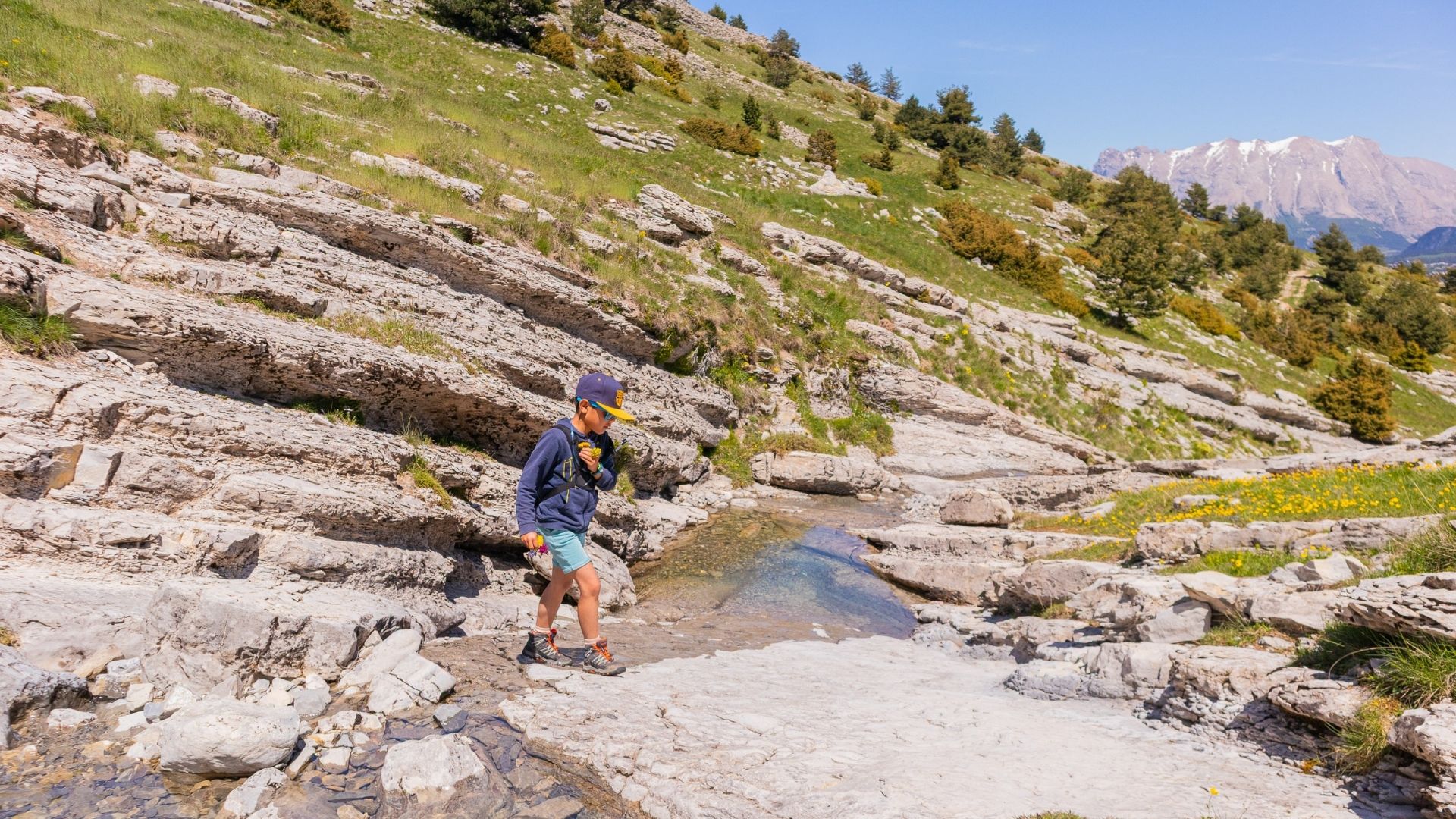 Emmenetonchien.com la plateforme affinitaire du tourisme dog-friendly ©Sophie Morche Partir en vacances avec son chien et lui offrir un accueil de qualité, c'est possible grâce à la plateforme emmenetonchien.com créée par Sophie Morche
